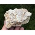 Chalcedon
